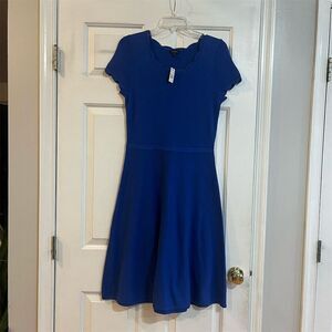 Talbots Women's Blue Standard Size S Knee Length